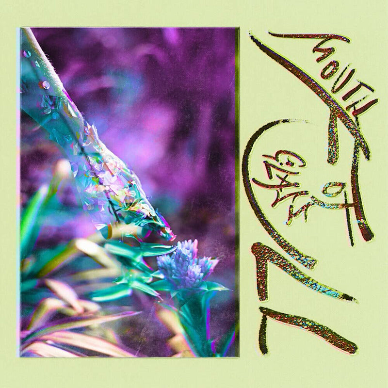 Macie Stewart - Mouth full of glass (LP)