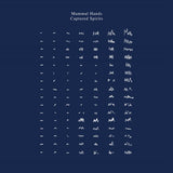 Mammal Hands - Captured spirits (CD)