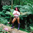 Maple Glider - I get into trouble (CD) - Velvet Music