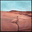 Margo Price - Strays (CD) - Velvet Music