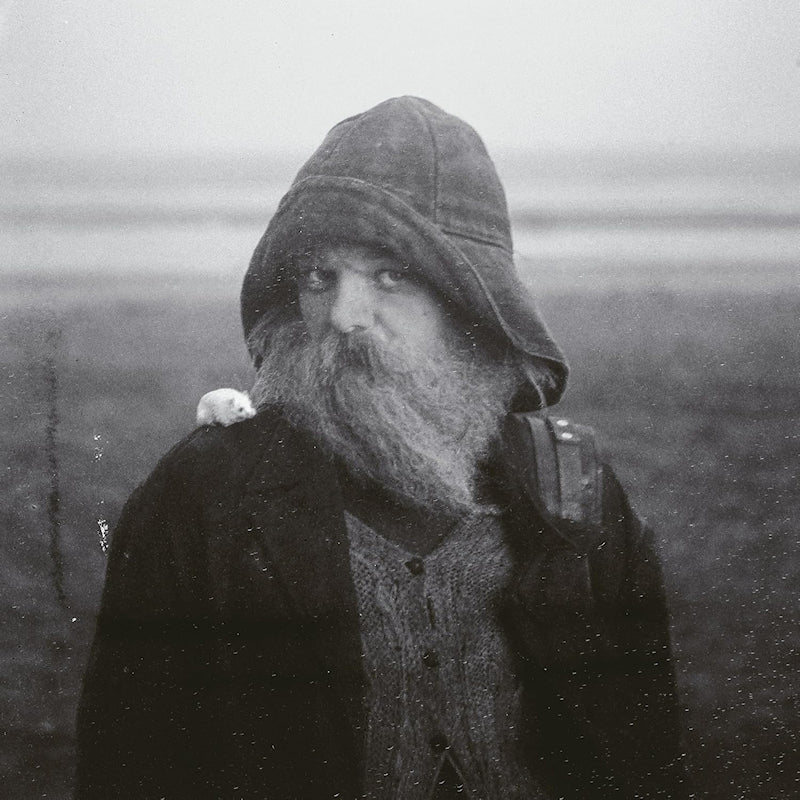 Mary In The Junkyard - Role model hermit (CD)