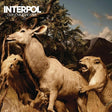 Interpol - Our love to admire (LP) - Velvet Music