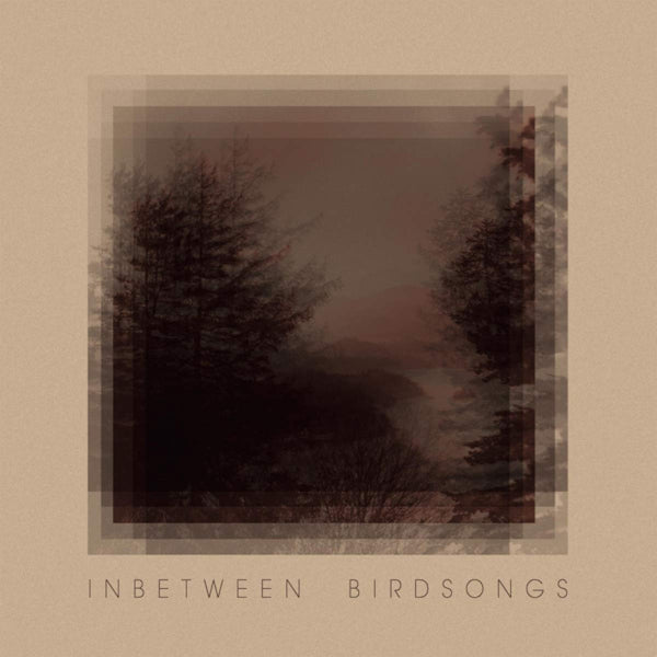 Matthias Gusset - Inbetween birdsongs (CD) - Velvet Music