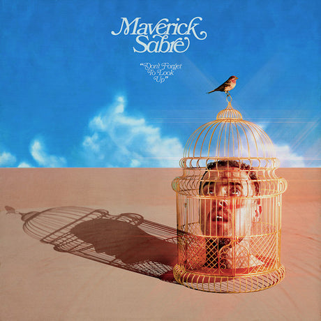 Maverick Sabre - Don't forget to look up -digi- (CD) - Velvet Music