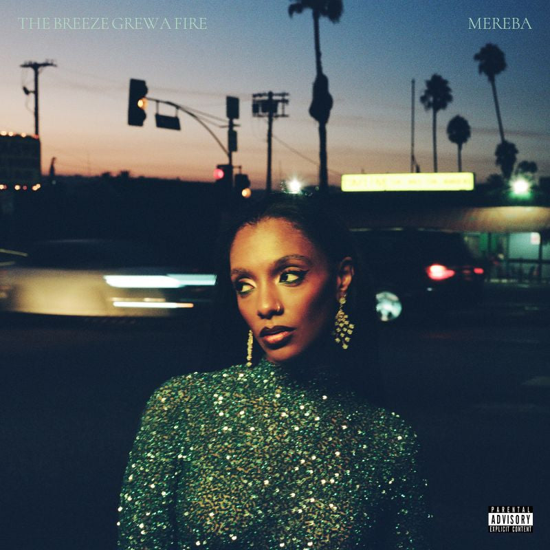 Mereba - The breeze grew a fire (LP)