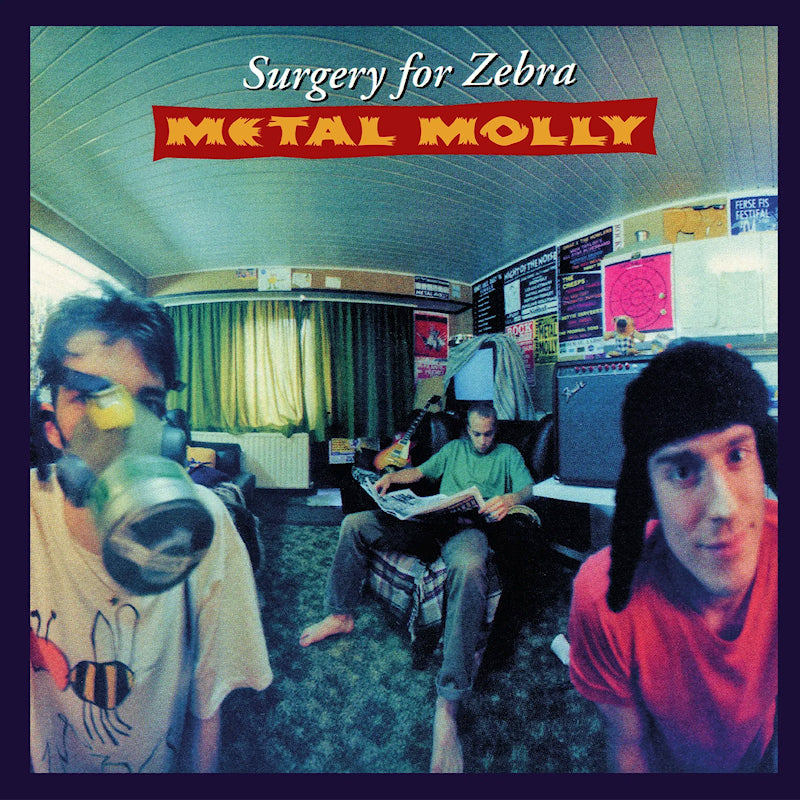 Metal Molly - Surgery for zebra (LP) - Velvet Music