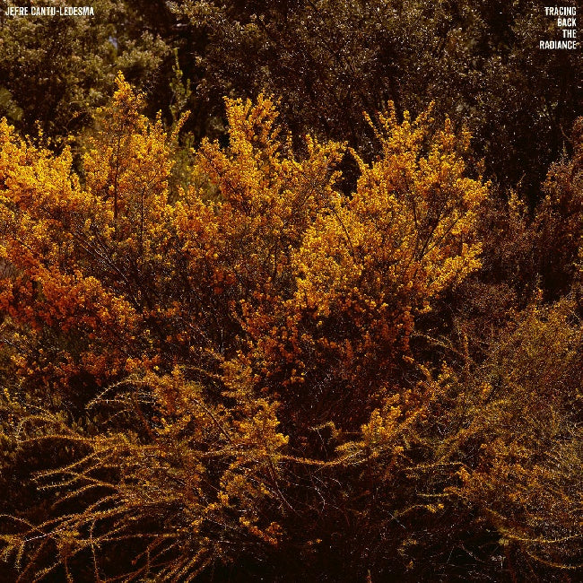 Jefre Cantu-ledesma - Tracing back the radiance (LP)