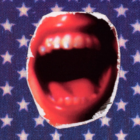Ministry - Rantology (LP) - Velvet Music