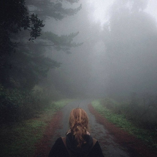 Mono - Under the pipal tree iridescent forest night) (LP) - Velvet Music