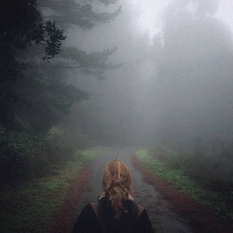 Mono - Under the pipal tree iridescent forest night) (LP) - Velvet Music