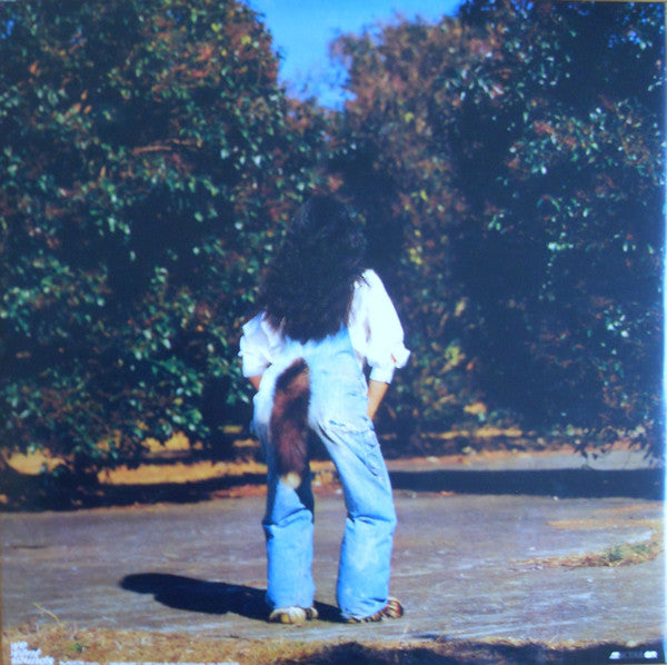 Akiko Yano - Gohan Ga Dekitayo (LP) - Velvet Music