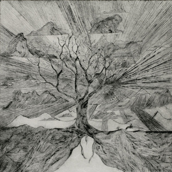 Myrddin - Monstruos y duendes vol. 1: myfyrio (LP) - Velvet Music