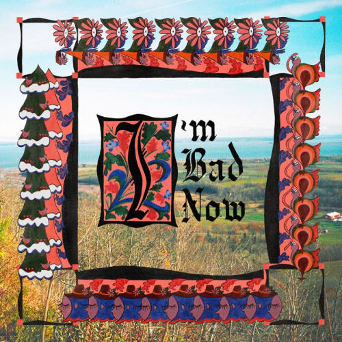 Nap Eyes - I'm bad now (LP)