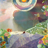 Night Moves - Pennied days (LP) - Velvet Music