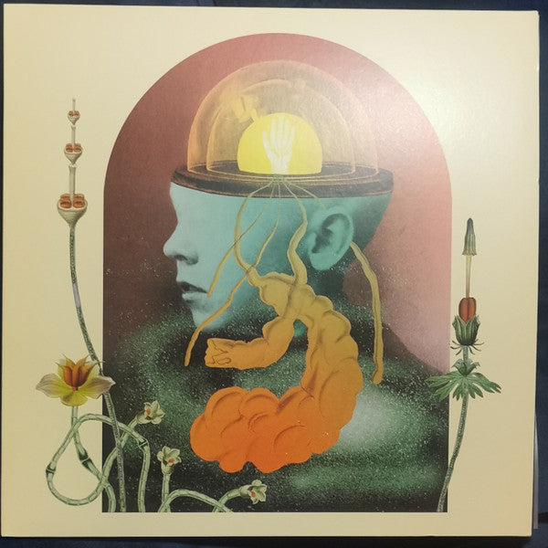 Salami Rose Joe Louis - Akousmatikous (LP) - Velvet Music
