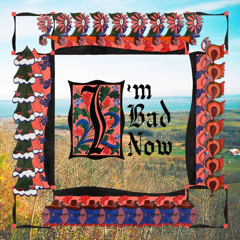 Nap Eyes - I'm bad now (LP) - Velvet Music