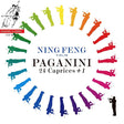 Ning Feng - Paganini: 24 caprices & 1 (CD) - Velvet Music