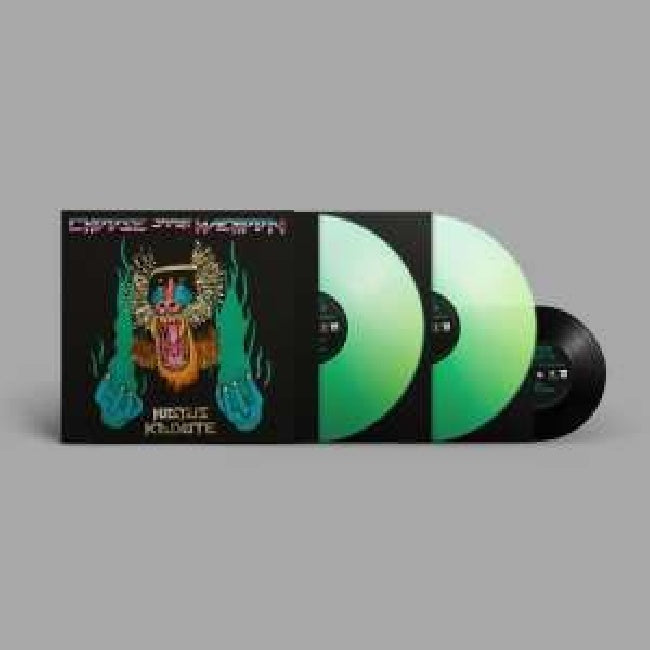 Hiatus Kaiyote - Choose your weapon (LP) - Velvet Music