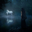 Noah Cyrus - I want my loved ones to go with me (LP) - Velvet Music