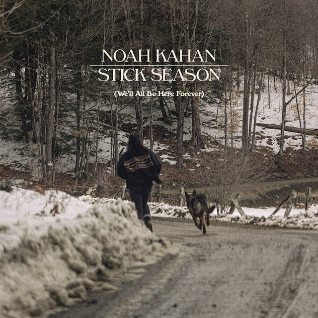 Noah Kahan - Stick season (LP)
