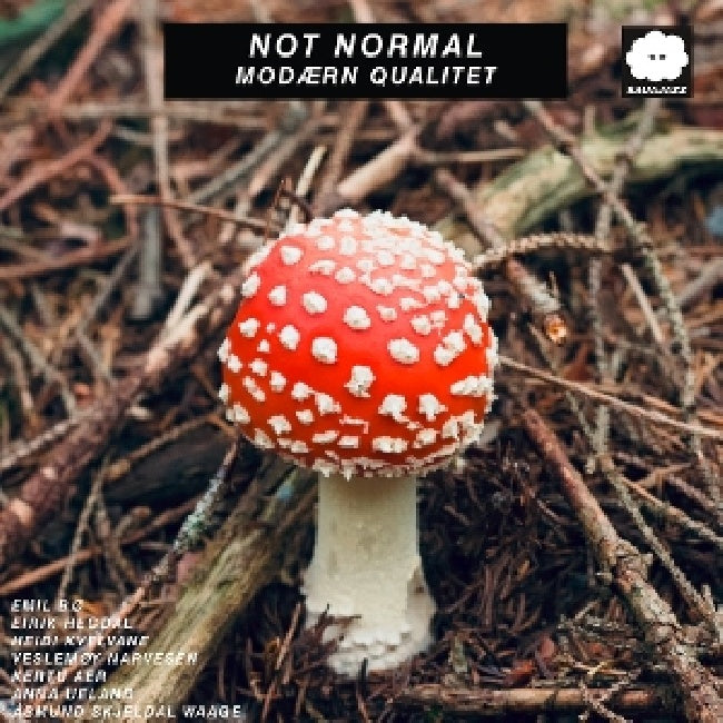 Not Normal - Modaern qualitet (LP)