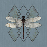 Ohhms - Close (LP)