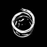 Okkultokrati - Snake reigns (LP)