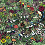 Oozing Wound - Whatever forever (CD)