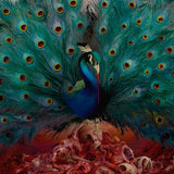 Opeth - Sorceress (CD)