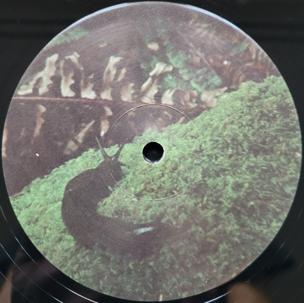Yo La Tengo - Old Joy (LP) - Velvet Music