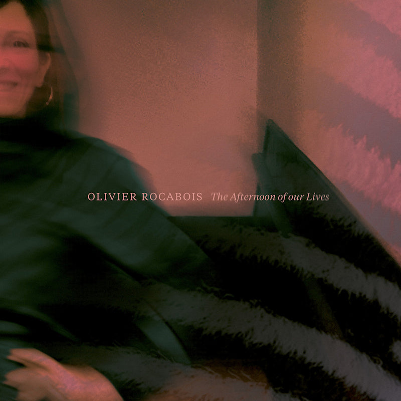 Olivier Rocabois - The afternoon of our lives (CD) - Velvet Music