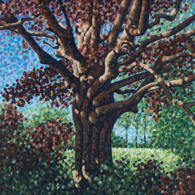 One Step Closer - Songs for the willow (CD)