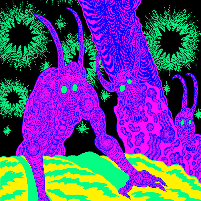Osees - Abomination revealed at last (CD)