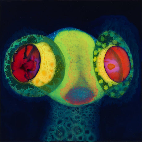 Osees - Sorcs 80 (LP) - Velvet Music