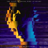 Pains Of Being Pure At Heart - Echo of pleasure (LP)
