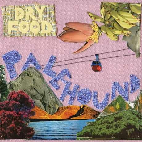 Palehound - Dry food (LP)