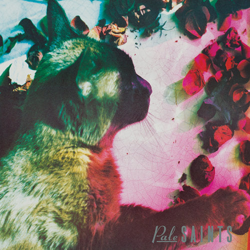 Pale Saints - Comforts of madness (LP) - Velvet Music