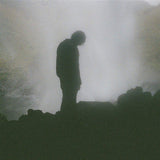 Palmistry - Afterlife (LP)