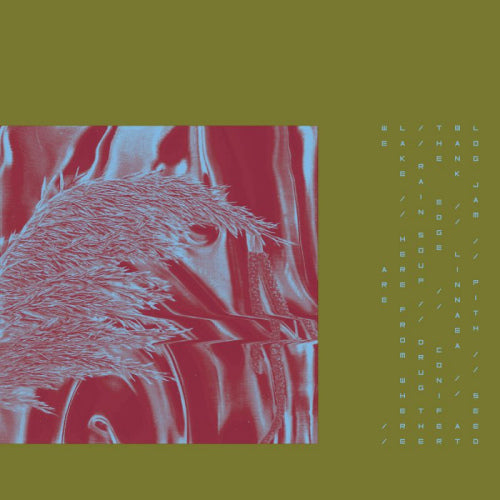 Pariah - Here from where we are (CD)