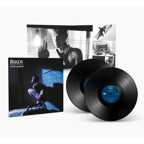 Peter Gabriel - Birdy (LP) - Velvet Music