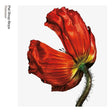 Pet Shop Boys - Release (LP) - Velvet Music