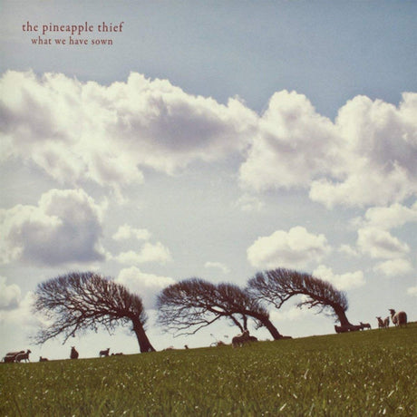 Pineapple Thief - What we have sown (LP) - Velvet Music