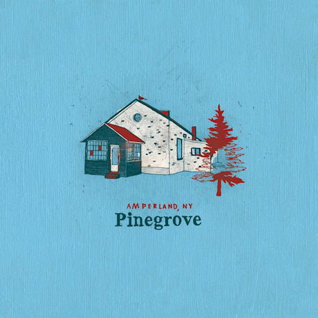 Pinegrove - Amperland, ny (CD) - Velvet Music