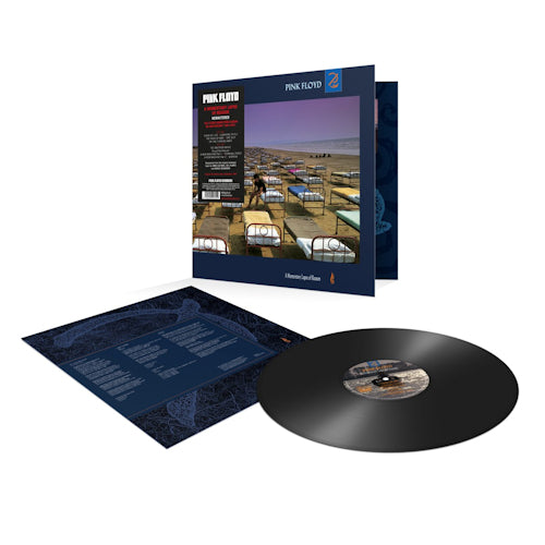 Pink Floyd - A momentary lapse of reason (LP) - Velvet Music