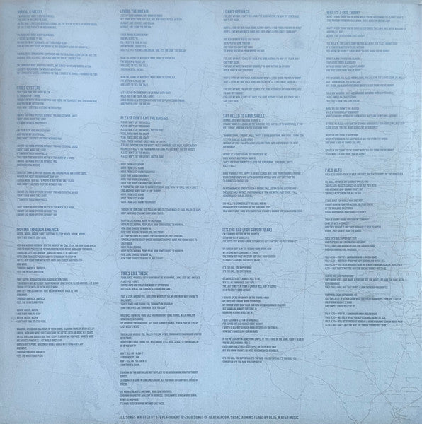 Steve Forbert - Moving Through America (LP) - Velvet Music