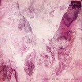 Porcelain Raft - Strange weekend (CD) - Velvet Music