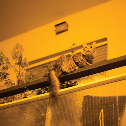 Sam Prekop - Republic (CD)