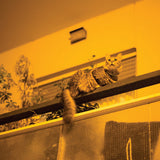 Sam Prekop - Republic (CD)