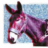 Protomartyr - Ultimate success today (CD) - Velvet Music