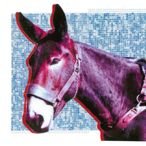 Protomartyr - Ultimate success today (CD) - Velvet Music